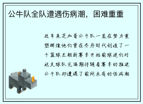 公牛队全队遭遇伤病潮，困难重重