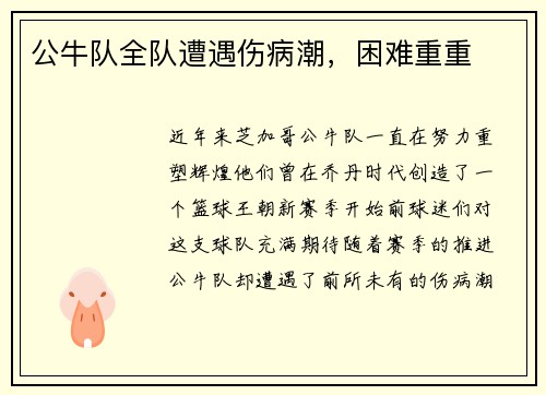 公牛队全队遭遇伤病潮，困难重重